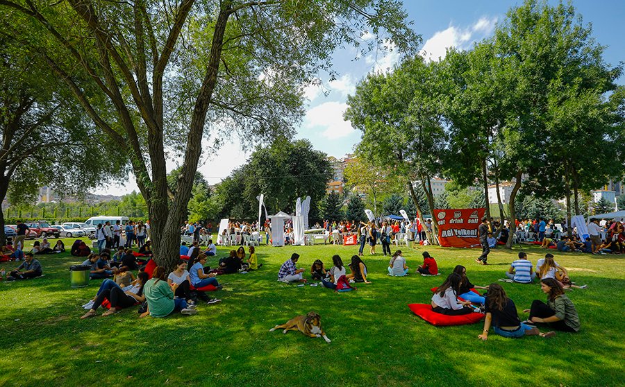 24793446395_8af33d44ca_o_7Fhvw4a